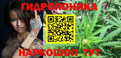 бошки Жуковский