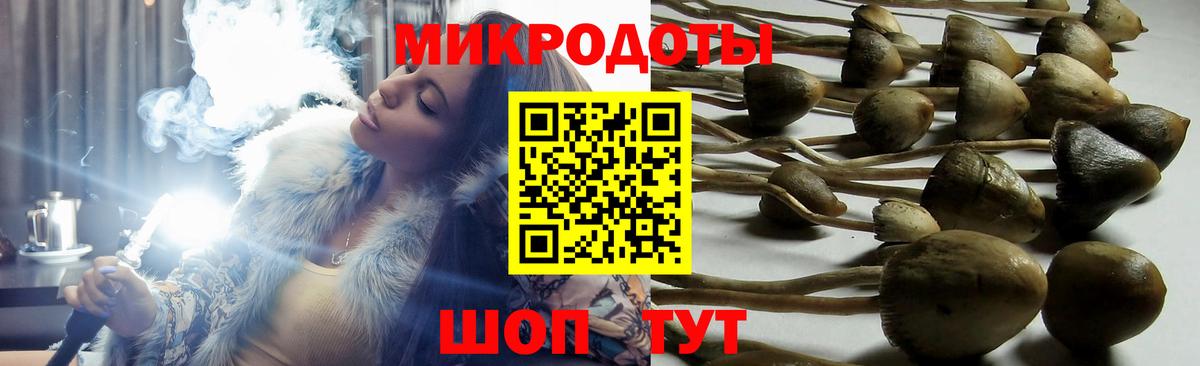 Псилоцибиновые грибы GOLDEN TEACHER  Вход с VPN  Магнитогорск 